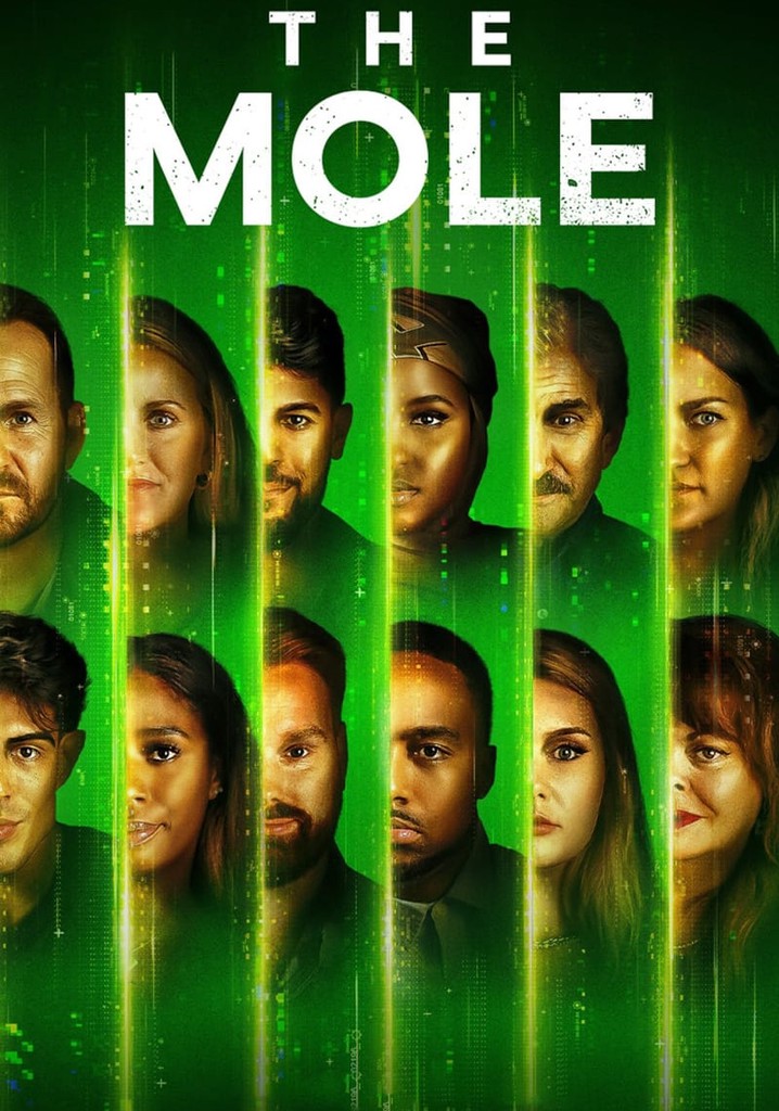 Der Maulwurf Staffel 2 Jetzt online Stream anschauen