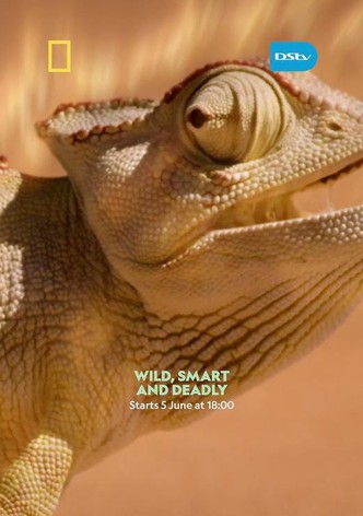 Wild, Smart, and Deadly