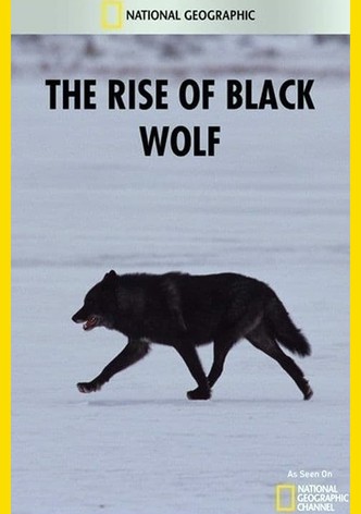 The Rise of Black Wolf