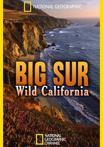 Big Sur: Wild California