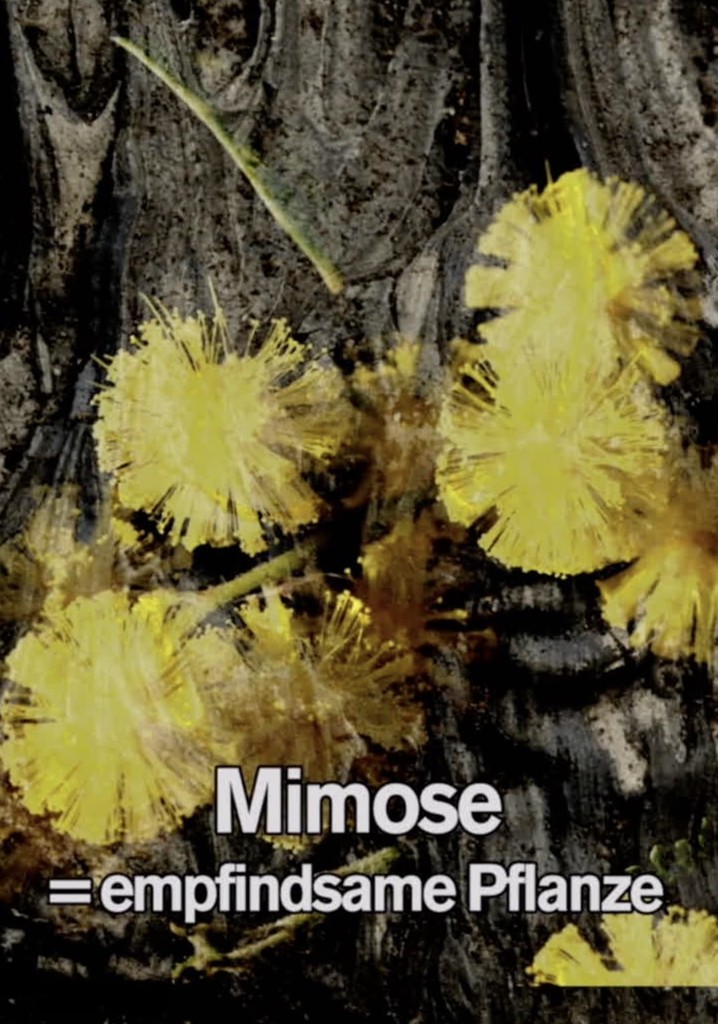Mimosa Tank: A Prologue for a Film