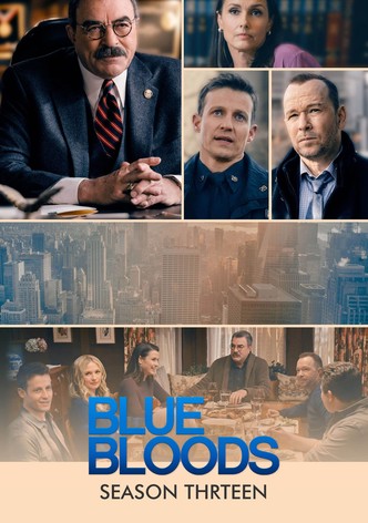 Blue Bloods Staffel 13