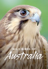 Wild Birds of Australia