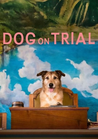 Dog on Trial