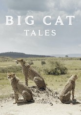 Os Reis da Selva - Temporada 1