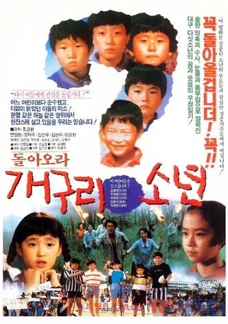 Come Back, Frog Boys