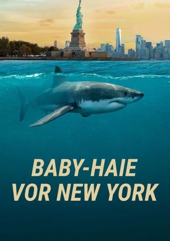 Baby-Haie vor New York