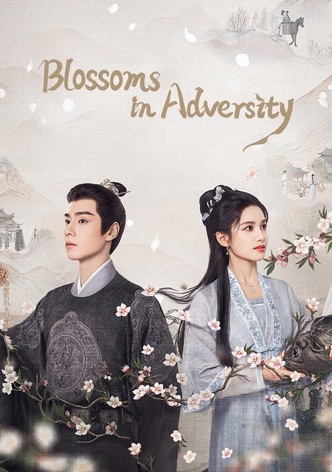 惜花芷～星が照らす道～（字幕版）