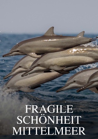 Fragile Schönheit Mittelmeer