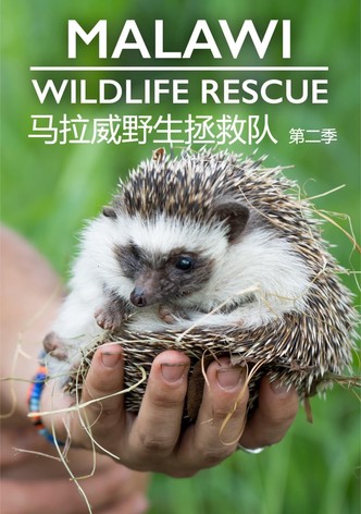 Malawi Wildlife Rescue