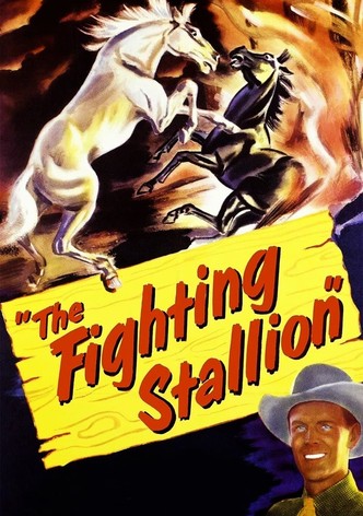 The Fighting Stallion