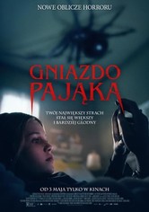 Gniazdo pająka