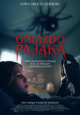 Gniazdo pająka