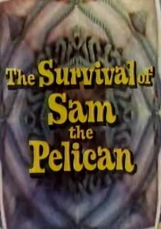 The Survival of Sam the Pelican