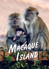 Macaque Island - Season 1