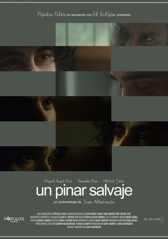 Un pinar salvaje