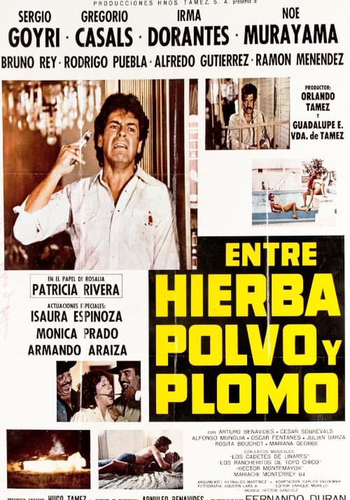 Entre hierba, polvo y plomo película Ver online