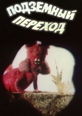 Underground Crossing