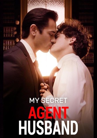 My Secret Agent Husband