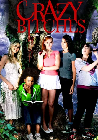Crazy Bitches poster