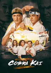 Cobra Kai - Season 6