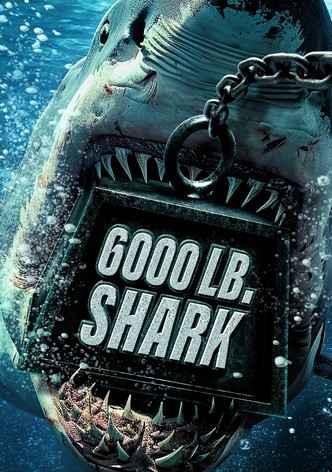 6000-LB. Shark