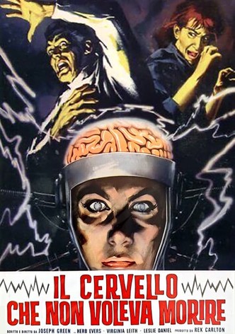 Il cervello che non voleva morire