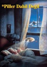 *Piller Dahil Değil