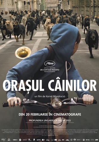 Orașul câinilor