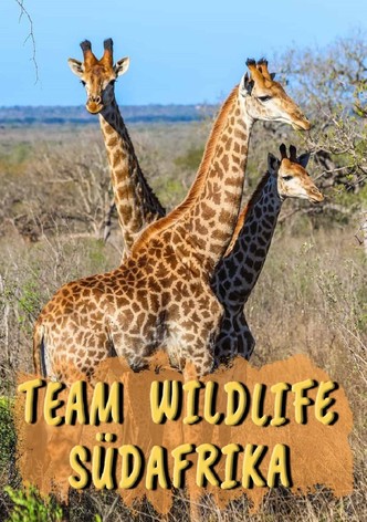 Team Wildlife Südafrika