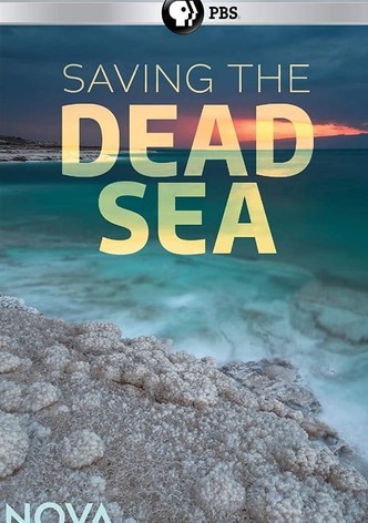 Saving the Dead Sea