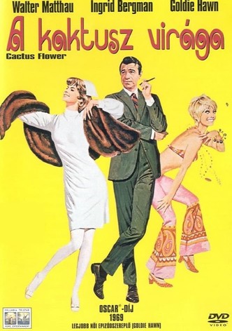 A kaktusz virága