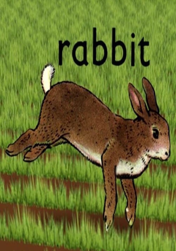 Rabbit