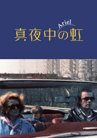 真夜中の虹