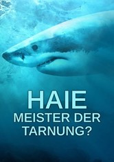 Haie: Meister der Tarnung?