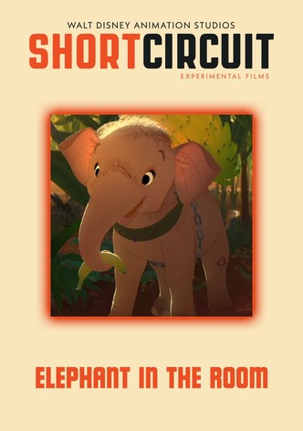 Elephant in the room