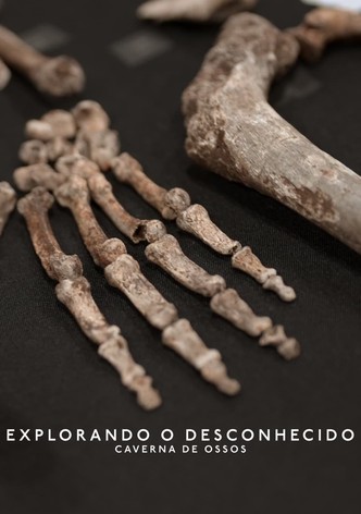 Explorando o Desconhecido: Caverna de Ossos