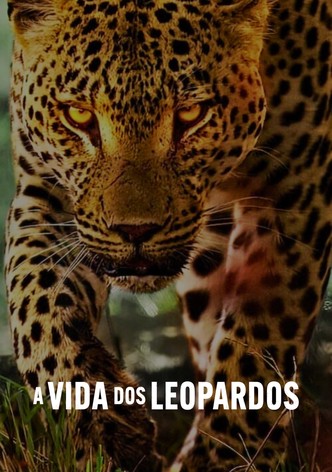 Viver com os Leopardos