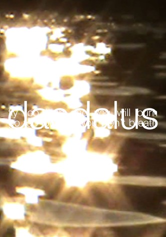 Daedalus