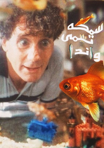 سمكة تدعى وندا