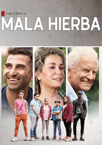 Mala hierba