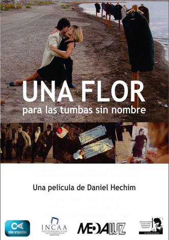 Una flor para las tumbas sin nombre