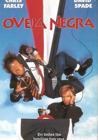 Oveja negra