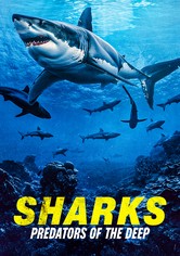Sharks: Predators of the Deep