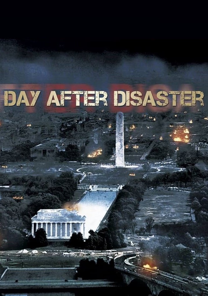 Day After Disaster