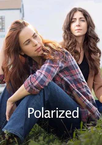 Polarized poster
