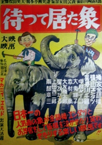 The Elephant Who Waited