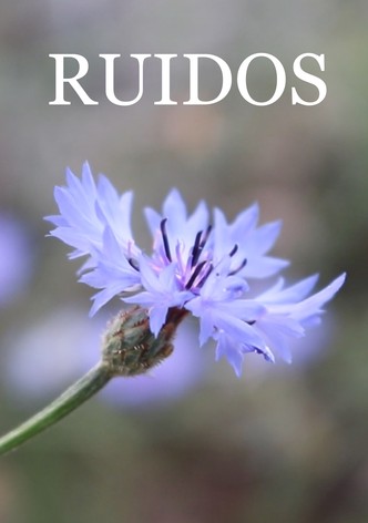 Ruidos