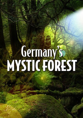 Germany's Mystic Forest