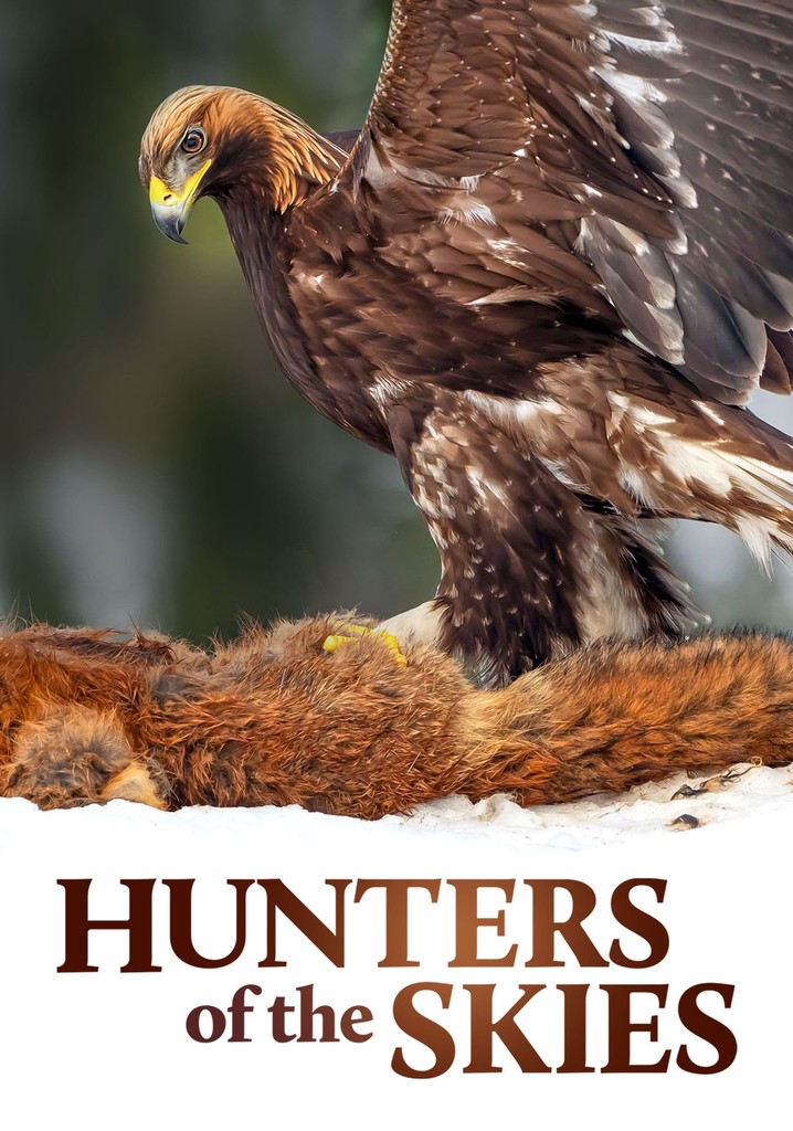 Hunters of the Skies